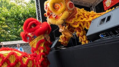 Chinees Maanfeest in Chinatown Den Haag: gezellig, veel publiek en zonnig